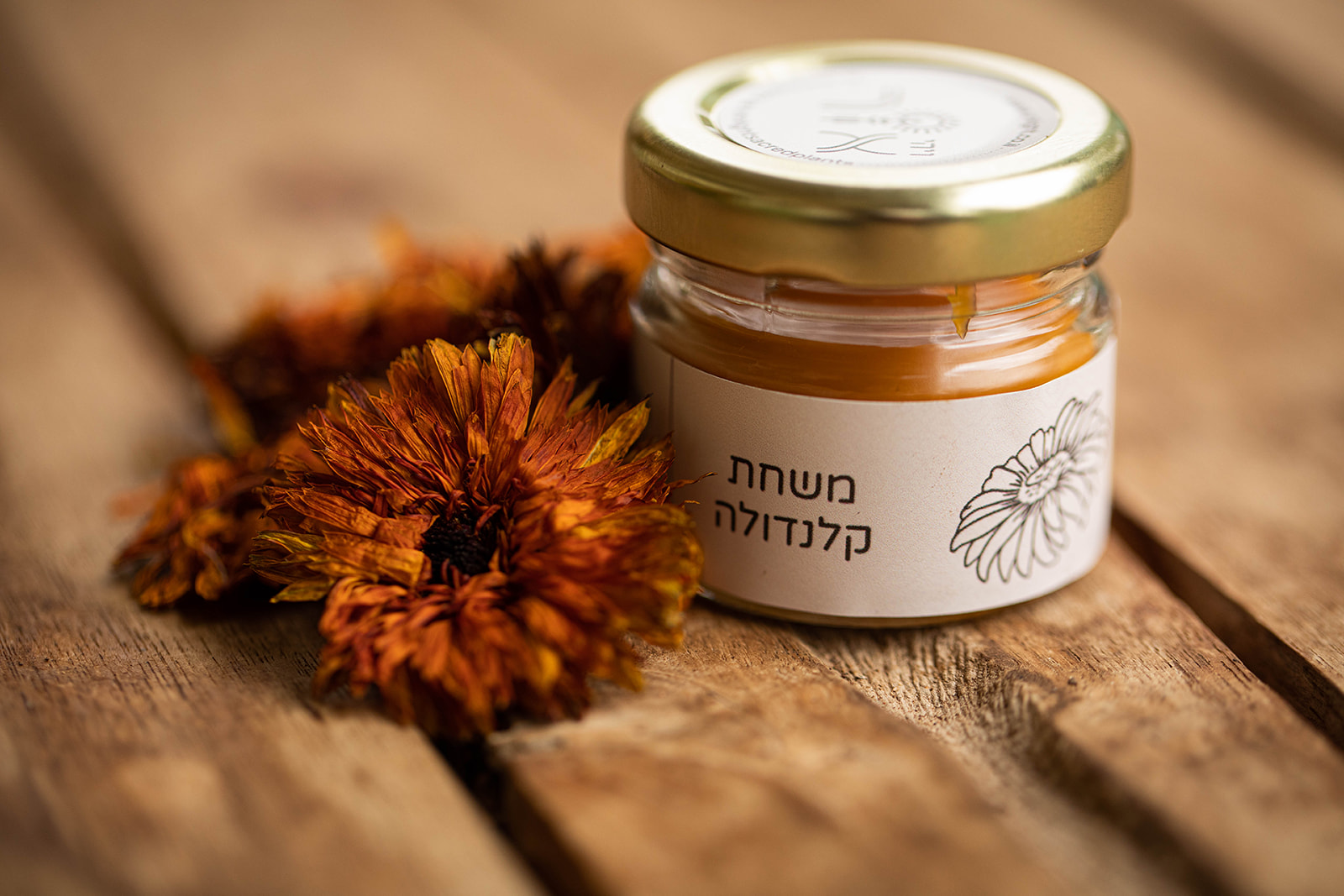 נופר ר
