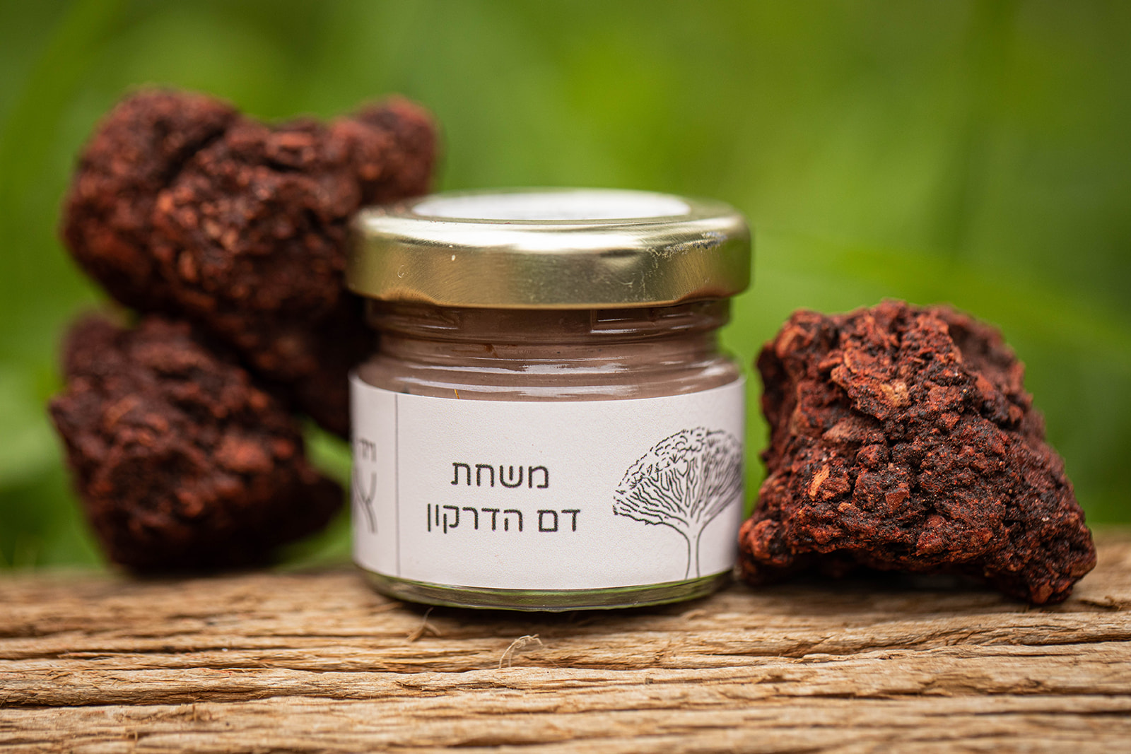 ירין ה