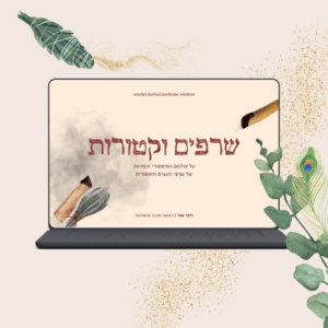 שרפים וקטורות | וובינר