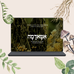 אמאדמה | קורס דיגיטלי
