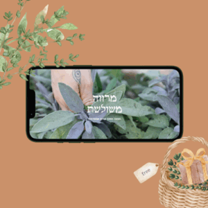 מתנה: שיעור על המרווה המשולשת