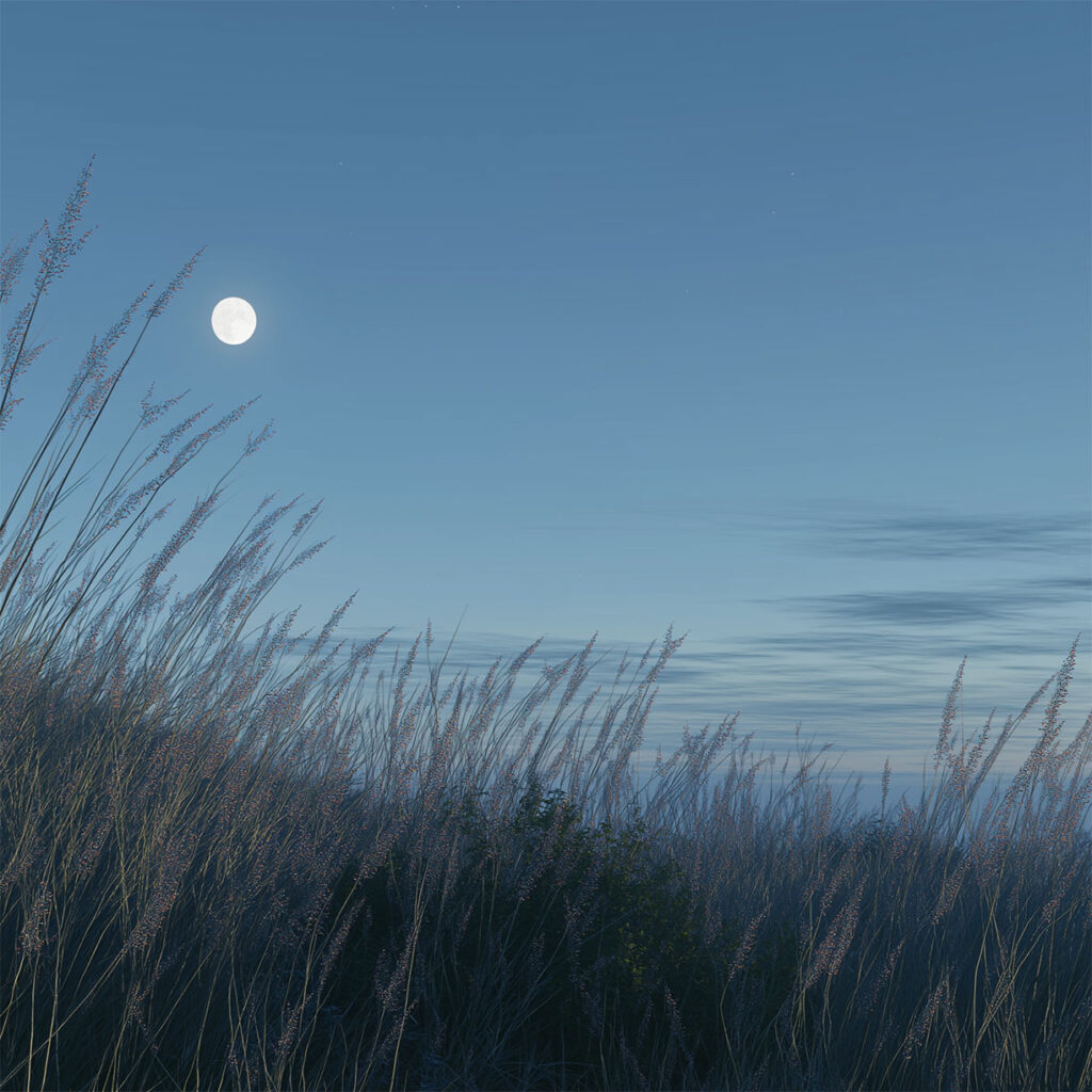 u4442237961_realistic_landscape_of_herbs_growing_in_nature_sky__55eb297e-c11b-4267-929e-69208ec55ca0-SQUARE