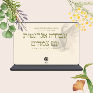 עבודה אנרגטית עם צמחים | הרצאה