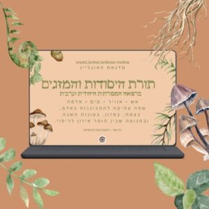 תורת היסודות והמזגים